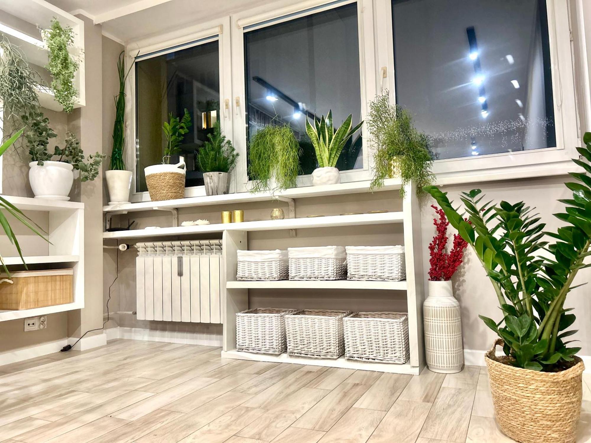 Bhakti Apartament Stary Toruń Kültér fotó